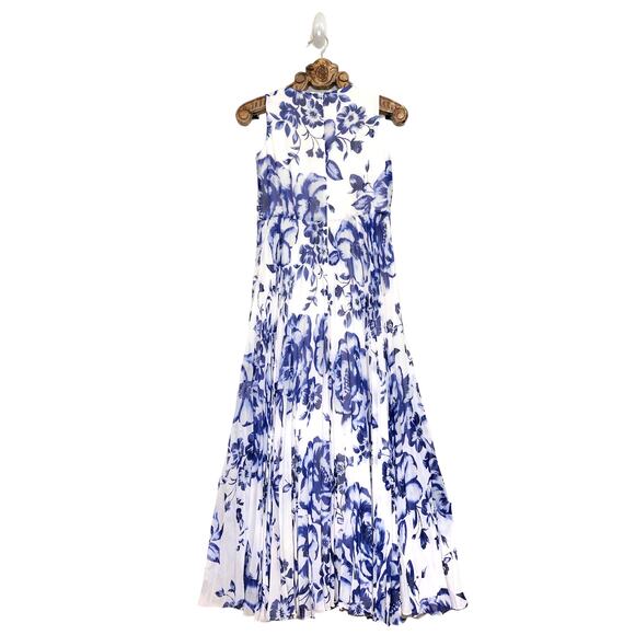 Eliza J Dresses & Skirts - Eliza J Dress White Blue Floral Porcelain Pleated Chiffon Sleeveless Maxi 6P